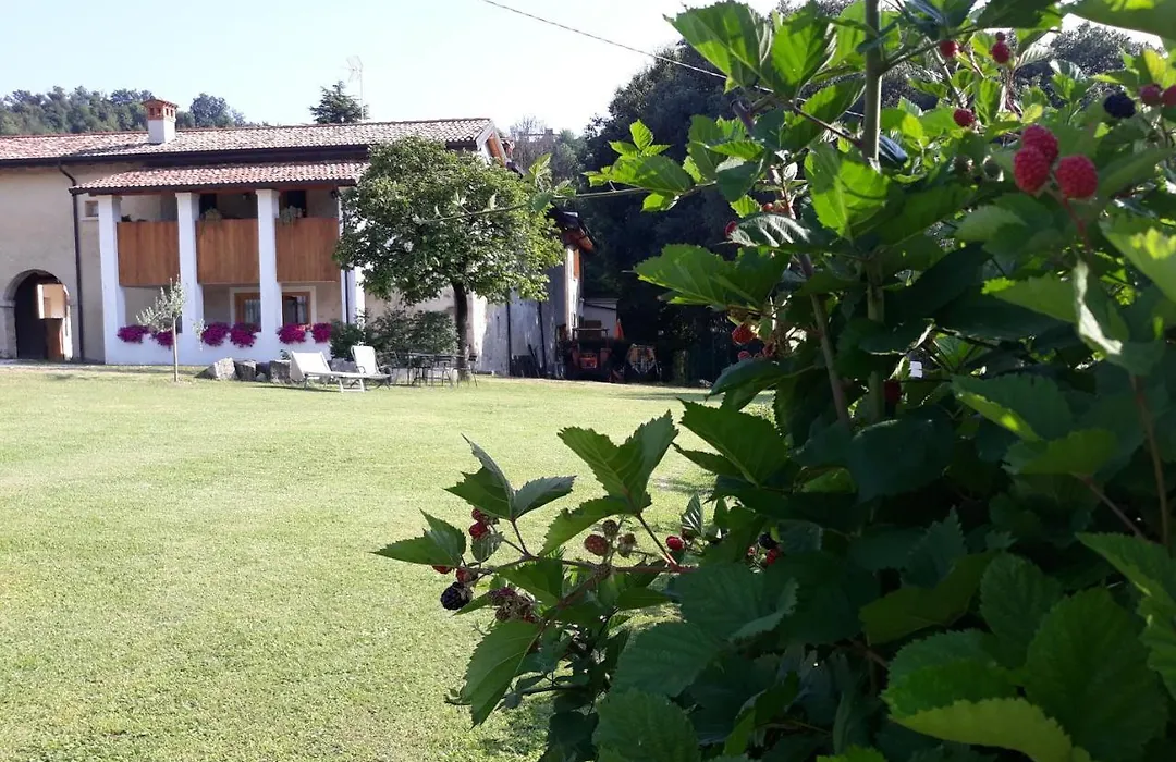 Agriturismo la Scala-1